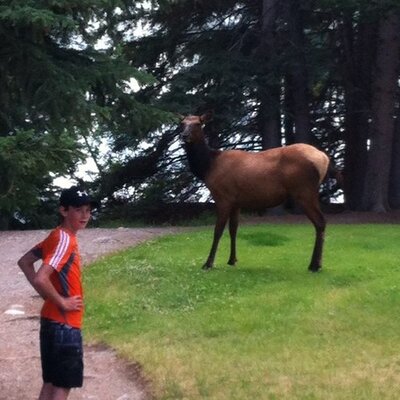 Profile Picture of BlakeMcCallum (@5Mccallum) on Twitter