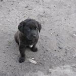 Profile Picture of Саша Товстій (@sashatovstii) on Instagram