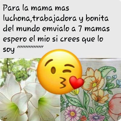 Profile Picture of Gracy Lorena Quesada (@GracyQuesada) on Twitter