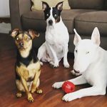 Profile Picture of Timothy Gonzalez (@sailor_t_haze) on Instagram