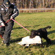 Profile Picture of Val Schwarzmueller (@valimusmaximus) on Youtube