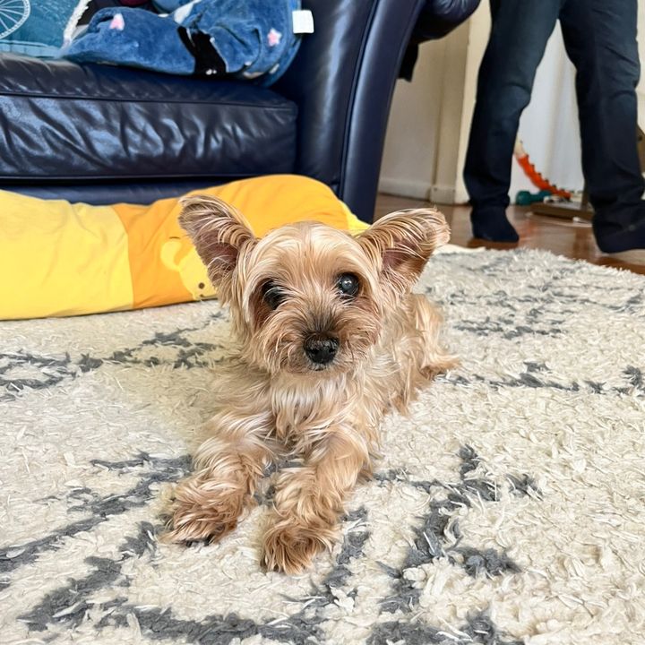 matthew - Tiktok Profile Picture of matthew (@matewlee22) on Tiktok