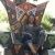 Profile Picture of Lucy Rascon (@lucyrascon3) on Pinterest