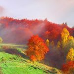 Profile Picture of Jarek Stasicki (@jarekstasicki) on Instagram