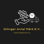 Profile Picture of Antal Márk Gilinger (@gilingerantalmark) on Facebook
