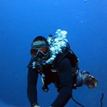 Profile Picture of Marc Chung (@phillip_phoenix) on Instagram