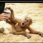 Jeff Brewster - Instagram Profile Picture of Jeff Brewster (@sexxymeajeff27) on Instagram