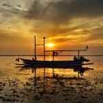 Loretta Atkinson - Instagram Profile Picture of Loretta Atkinson (@mcdockerte) on Instagram