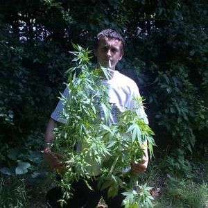 Profile Picture of Aaron Cooke (@cookiengfc) on Myspace