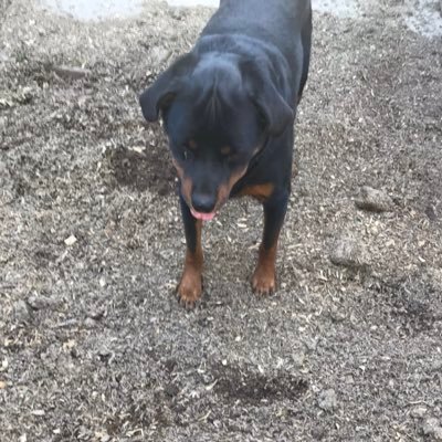 Profile Picture of Damien Carson (@DamienCarson13) on Twitter
