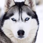 Profile Picture of Jerry Womack (@womack_jerryj) on Instagram