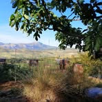 Profile Picture of Maria Rita Marsalisi (@mariarita.marsalisi) on Facebook