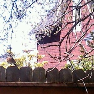 Profile Picture of Jasmine Koster (@jasminekoster) on Myspace