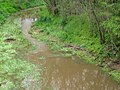 Profile Picture of Wakefield Riveron Wikipedia
