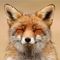 Profile Picture of James Rach (@James-Rach) on Facebook