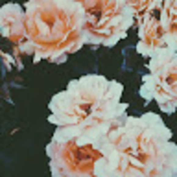 Profile Picture of Laney Smith (@4300262226) on Poshmark