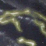 Profile Picture of Aaron Hanlon (@aaron.hanlon.1) on Instagram