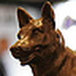 Profile Picture of Wade Thompson (@wolfiethompson) on Flickr