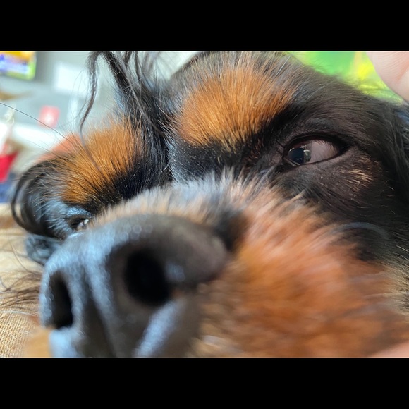 Profile Picture of Mark Levesque (@mark_levesque) on Poshmark