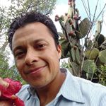 Profile Picture of Antonio Anguiano (@antonio.anguiano.75685) on Instagram