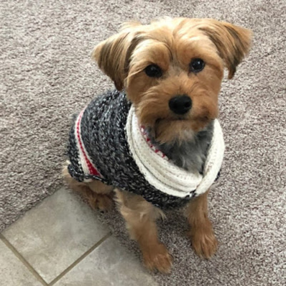 Profile Picture of Tyler Houtsinger (@houtsingert) on Poshmark