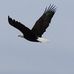 Profile Picture of Paul Rogalski (@Paul-Rogalski) on Facebook