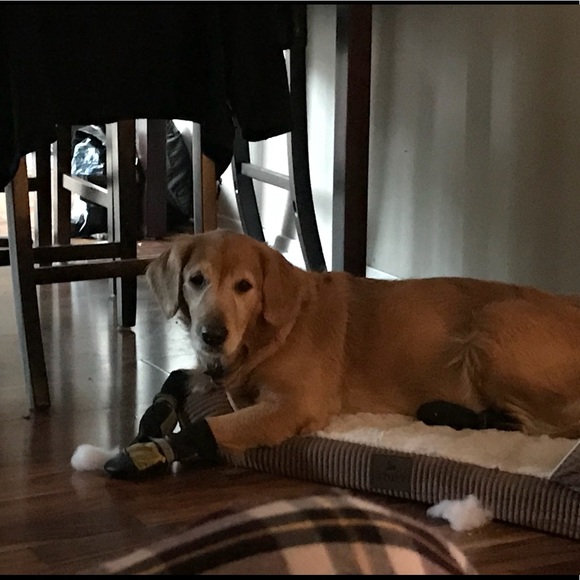 Profile Picture of Melissa Latosky (@mel2105) on Poshmark