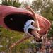 Profile Picture of Luke Swenson (@lukes) on Pinterest