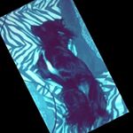Profile Picture of missy gonzalez (@bbg_missy_) on Instagram