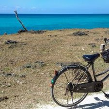 Profile Picture of Jason Amar (@JasonAmar3) on Twitter