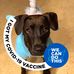 Profile Picture of Ben Weldon (No Name) (@Ben-Weldon) on Facebook
