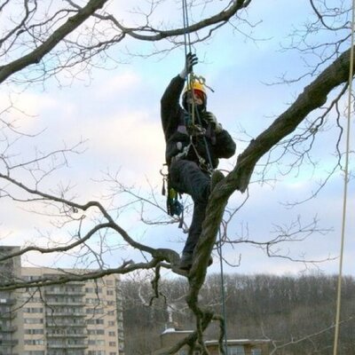 Profile Picture of Ben Simard (@benitosuave76) on Twitter