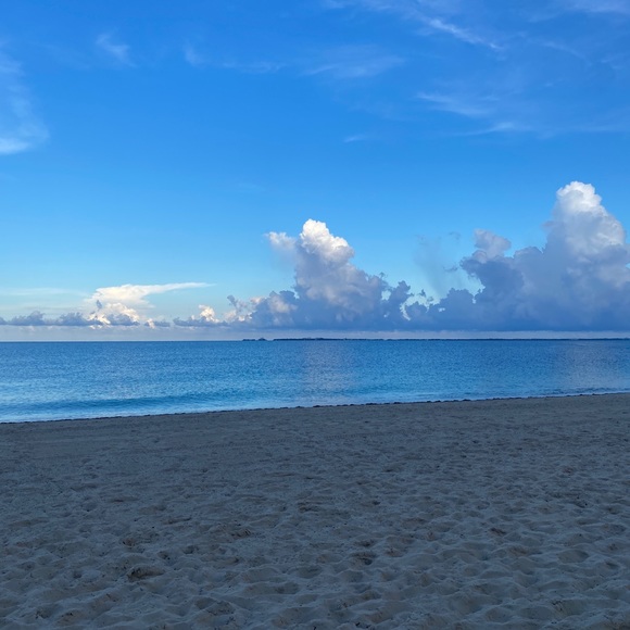 Profile Picture of Kara Simon (@klg427) on Poshmark