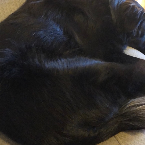 Profile Picture of Tyler Lowers (@lowers2222) on Poshmark