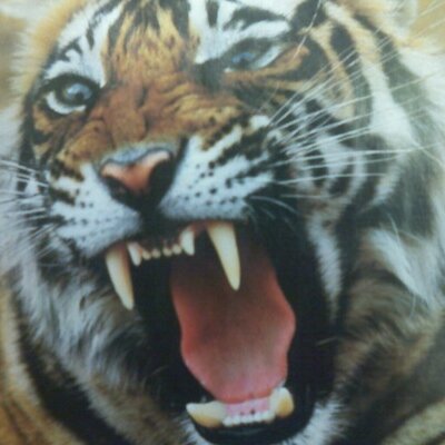 Profile Picture of Blake Hinton (@BlakeHinton) on Twitter