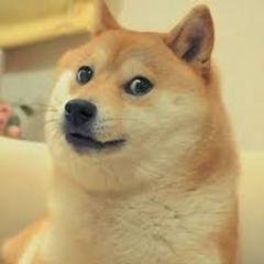 Profile Picture of JulianBaez (@JulianBaez4252) on Twitter