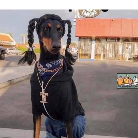 Profile Picture of Elijah White (@outlaweaze) on Poshmark