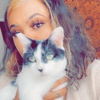 Profile Picture of Sandra Cooper (@sandracooper) on Tiktok