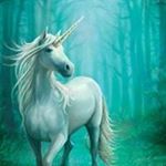 Profile Picture of Sheila VandenBloomer (@sheilavandenbloomer) on Instagram