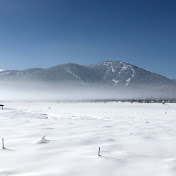 Profile Picture of Stephen Downs (@stephendowns2484) on Youtube