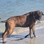 Profile Picture of Ernest Grandelli (@ernest.grandelli) on Facebook