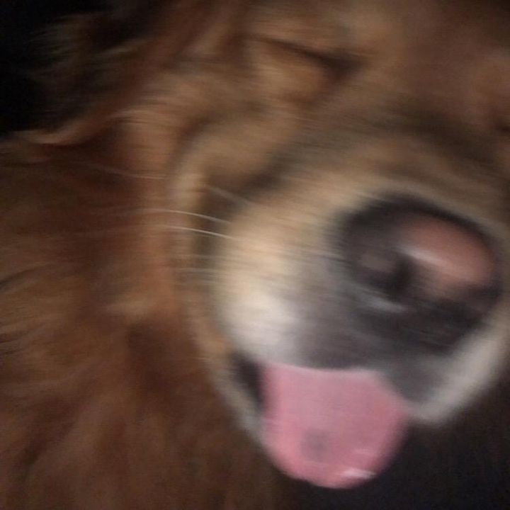 Profile Picture of AdaM (@adam.fletcher) on Tiktok