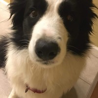 Profile Picture of Haley Drew (@haley-drew-6) on Quora