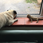 Profile Picture of Carly Slade (@carlyslade118) on Youtube