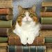 Profile Picture of Helene Gauthier (@gitanegauthier) on Pinterest