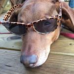 Profile Picture of Jeff Bonno (@jeffbonno) on Instagram