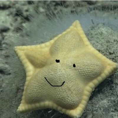 Anthony Zaccaria - Twitter Profile Picture of Anthony Zaccaria (@AnthonyZaccari5) on Twitter