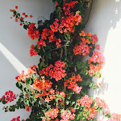 Profile Picture of Jeff Klinger (@jeffklinger) on Youtube