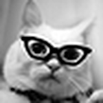 Profile Picture of Takashi Matsumoto (@xxxjampack) on Flickr