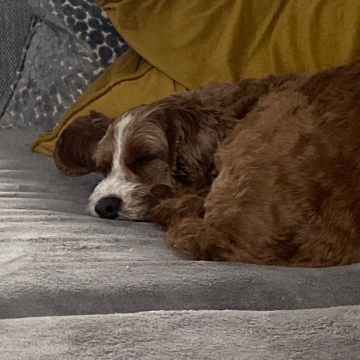 Profile Picture of kev😎 (@kevin..lad..cool.12) on Tiktok